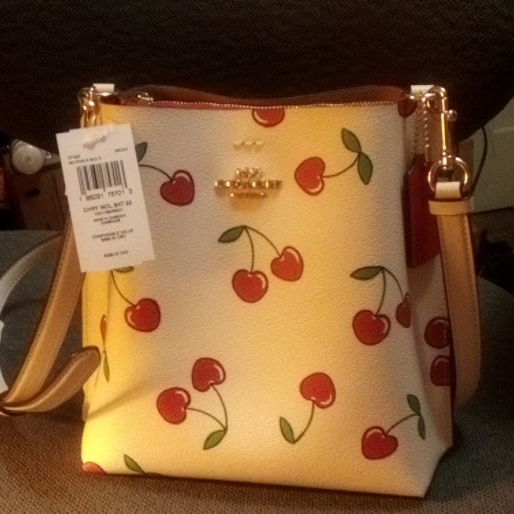 Coach Mollie Bucket Bag 22 with Heart Cherry Print